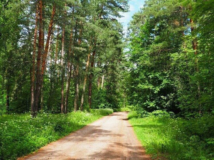 В Запорожской области подсчитывают ущерб, причиненный в результате боевых действий