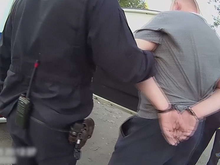 В Череповце стражи порядка задержали разгуливающего с топором по территории школьного стадиона мужчину