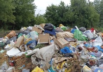 С них вывезено полее полутора тысяч кубических метров мусора