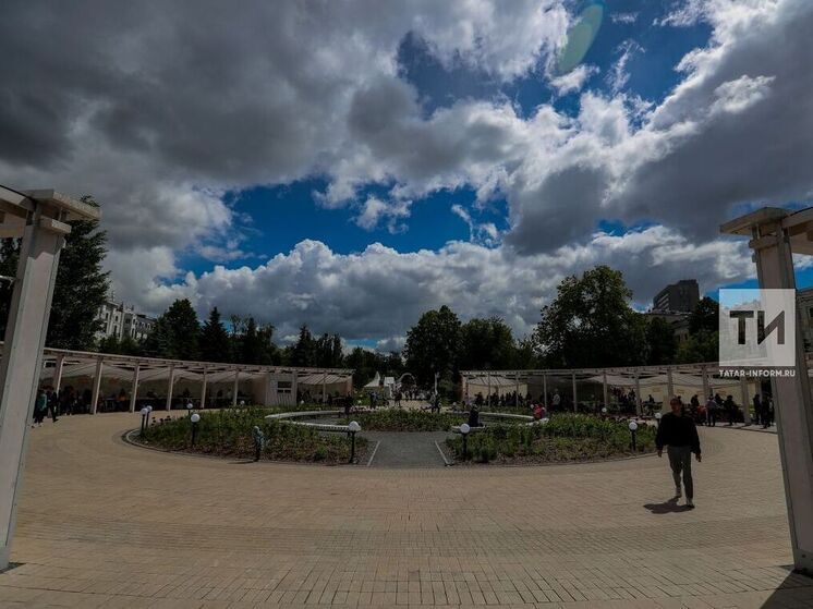 В казанском парке «Ак чәчәкләр» пройдут открытые встречи с психологом