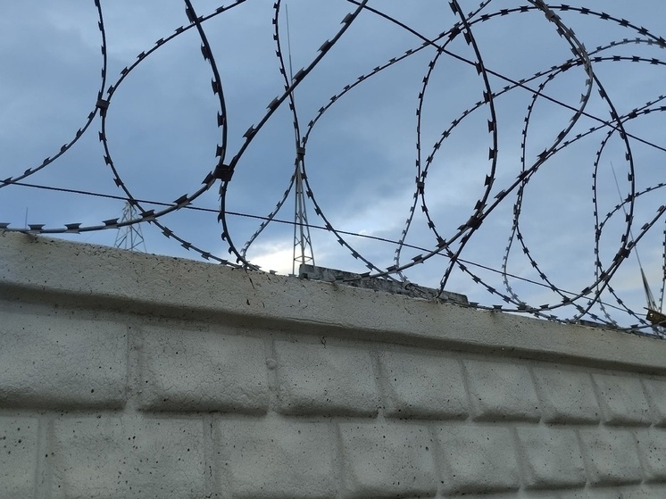 Семнадцать лет тюрьмы получил шпион из Макеевки