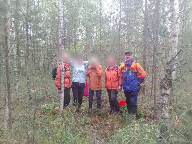 В Кировском районе спасатели искали заблудившихся женщин