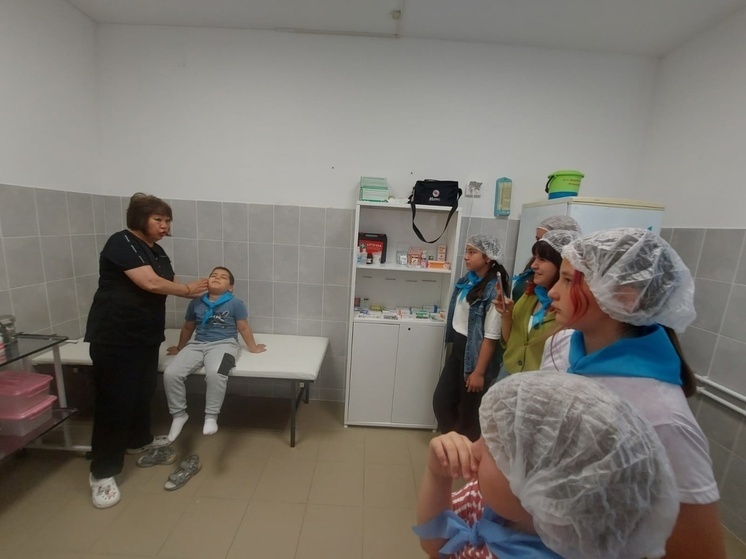 В Калмыкии провели телемост ко Дню медработника