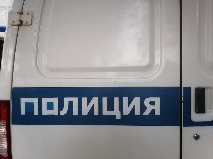 В Саракташском районе женщина убила мать гвоздодером