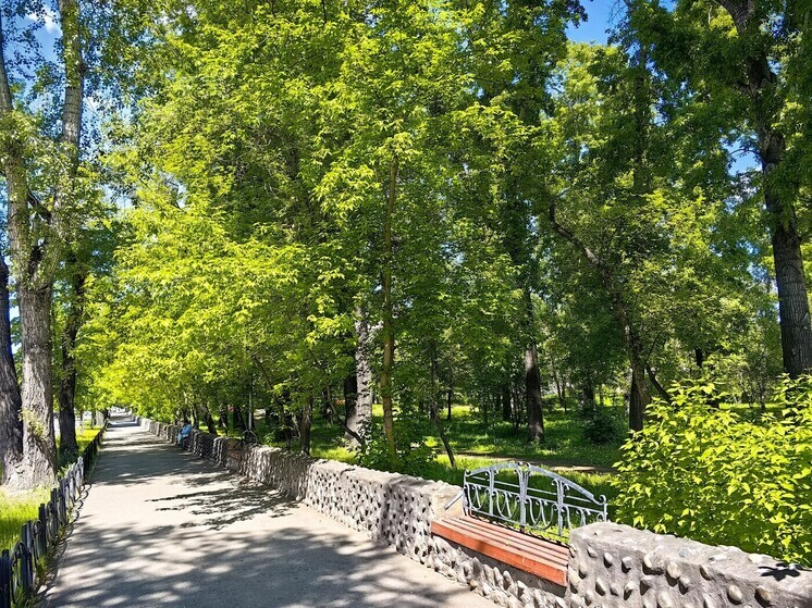 Синоптики Хакасии пообещали больше +20 градусов