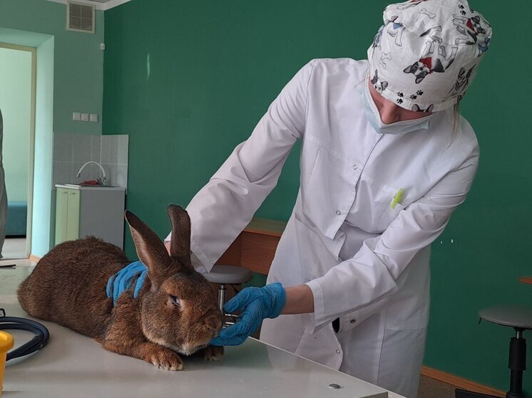 Свыше трех тысяч томских студентов сдают демонстрационные экзамены