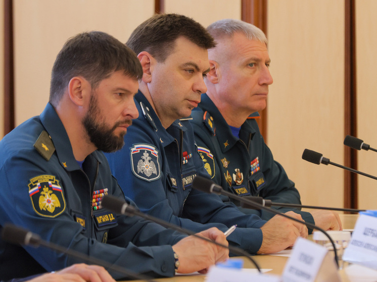 Глава МЧС России оценил ситуацию с пожарами в Красноярском крае