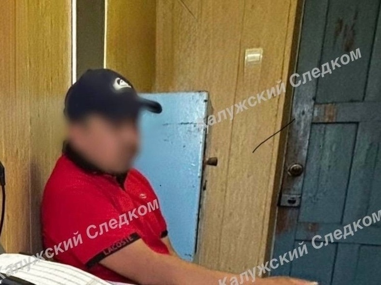 СКР проверит всех спас-деменских мигрантов после избиения ребенка