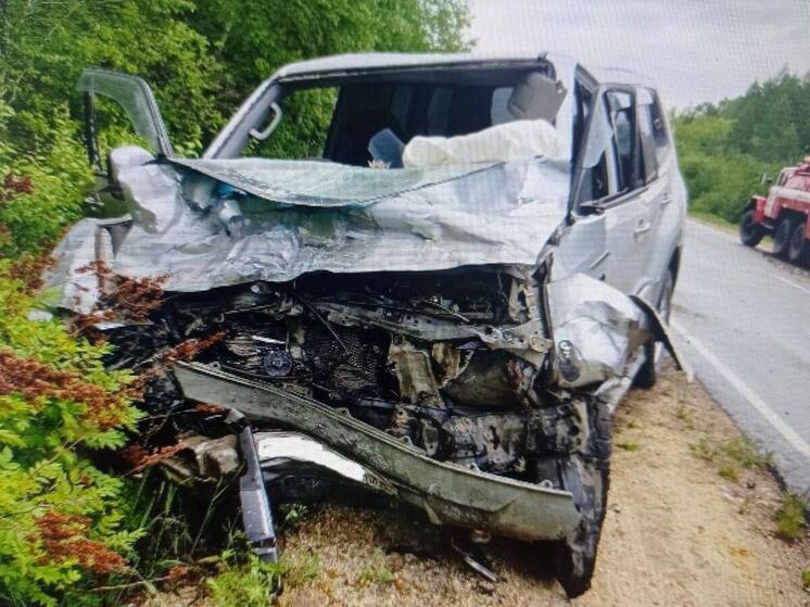 Двух забайкальцев доставили в больницу после ДТП