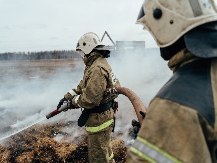 В Тверской области горели "заброшка" и мусор