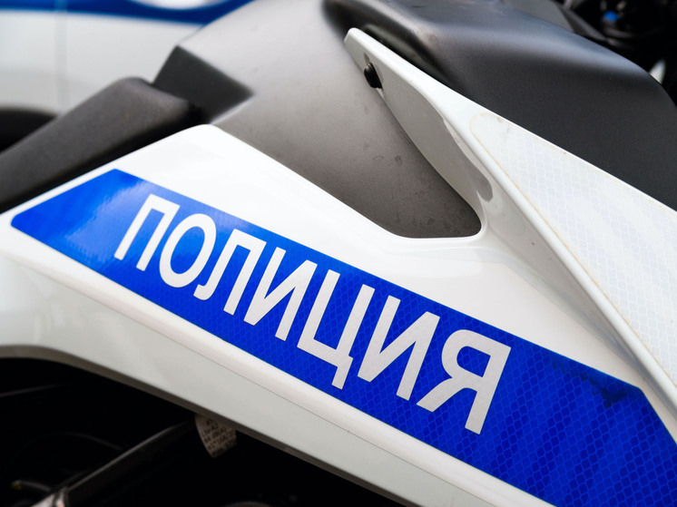 Южноуралец продал садовый дом и начал обворовывать новых владельцев