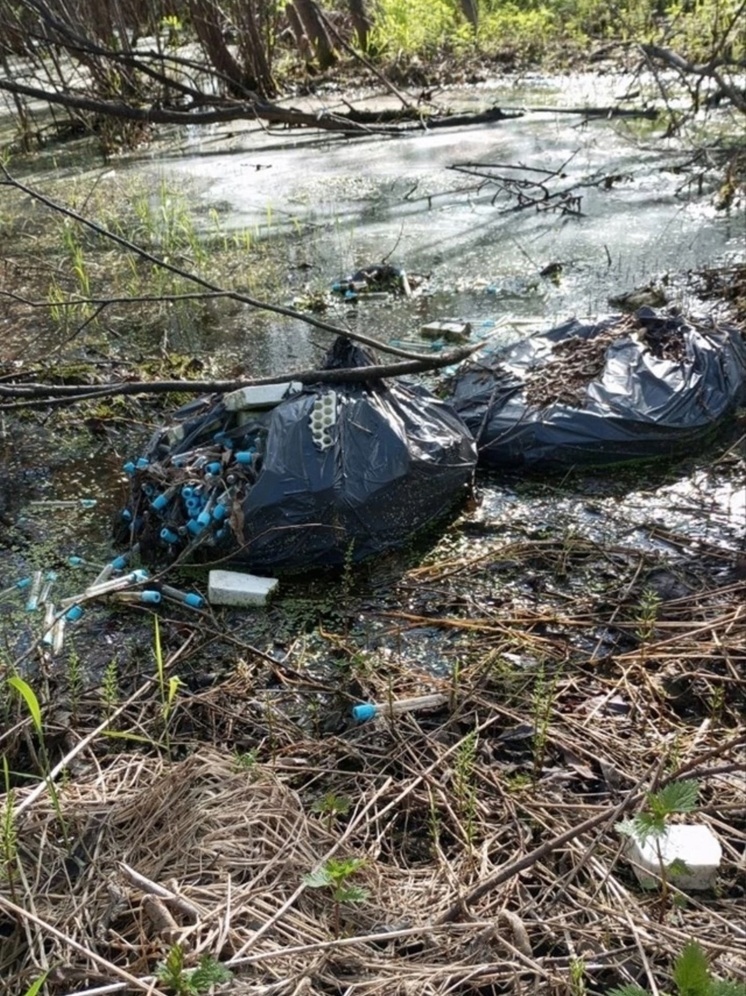 «Кровавые» пробирки выбросили прямо в городе в Надыме