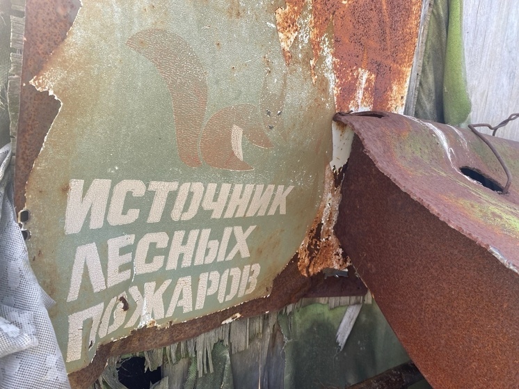 Авиапатрулирование помогает Архангельской области оперативно тушить лесные пожары