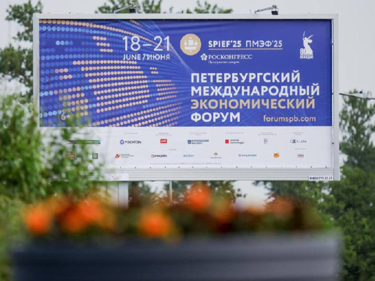 Делегация Мурманской области представит арктические проекты на ПМЭФ-2025