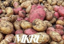В мае цены на продукты в Забайкальском крае выросли на 0,01%