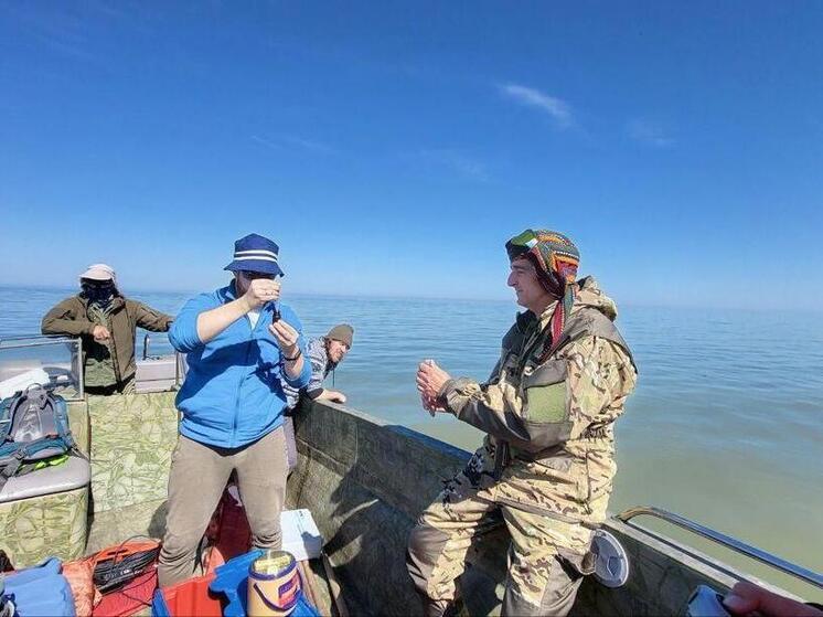 Низкий уровень воды в Волге угрожает вобле в дельте и Северном Каспии
