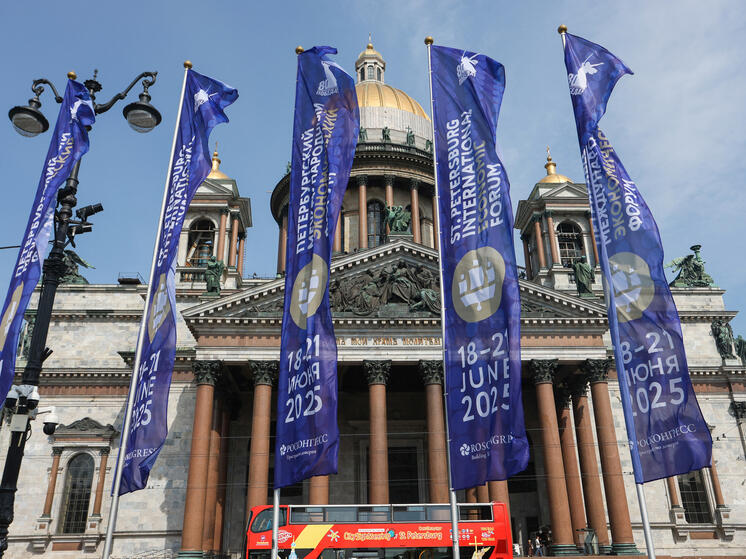 Владимир Владимиров возглавит ставропольскую делегацию на Петербургском международном экономическом форуме