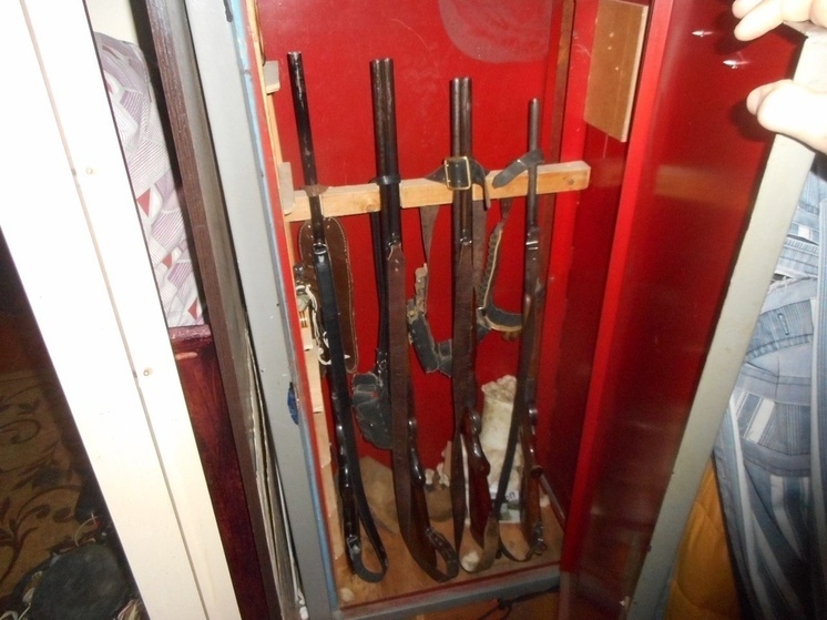 Суд приговорил северянина к условному сроку за незаконные боеприпасы и порох