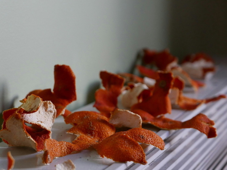 Цитрусовые против тараканов: простой и ароматный способ избавиться от вредителей в доме