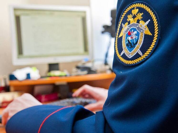 Тульский суд по ходатайству СК арестовал имущество организации на 69 млн рублей