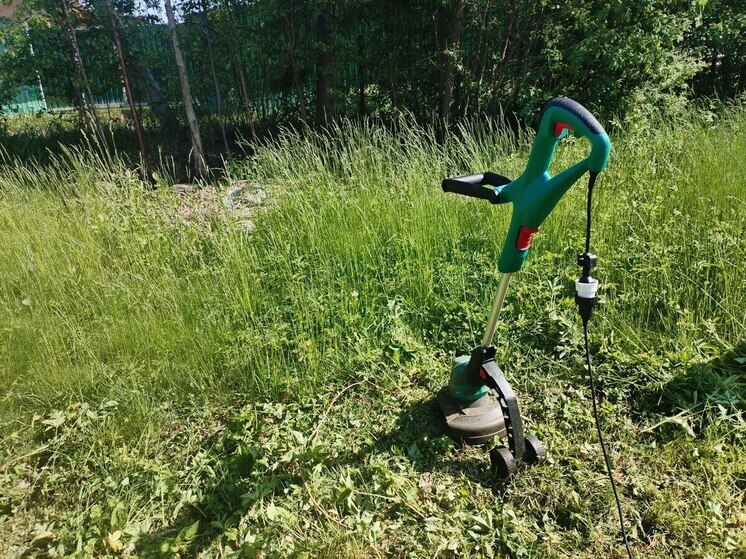 В Великом Новгороде образовался дефицит косильщиков из-за быстро растущей травы