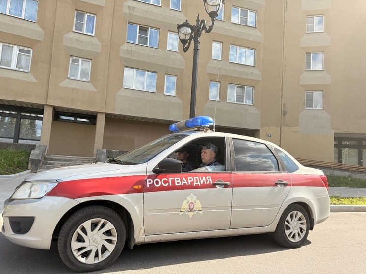 За неделю в Тверской области росгвардейцы пресекли 33 правонарушения