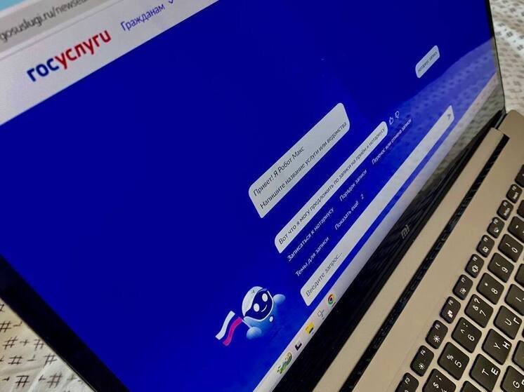 Госдуме рассказали об изменениях в работе портала «Госуслуги»