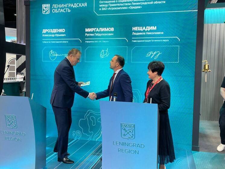 В Ленобласти удвоится производство яиц через три года