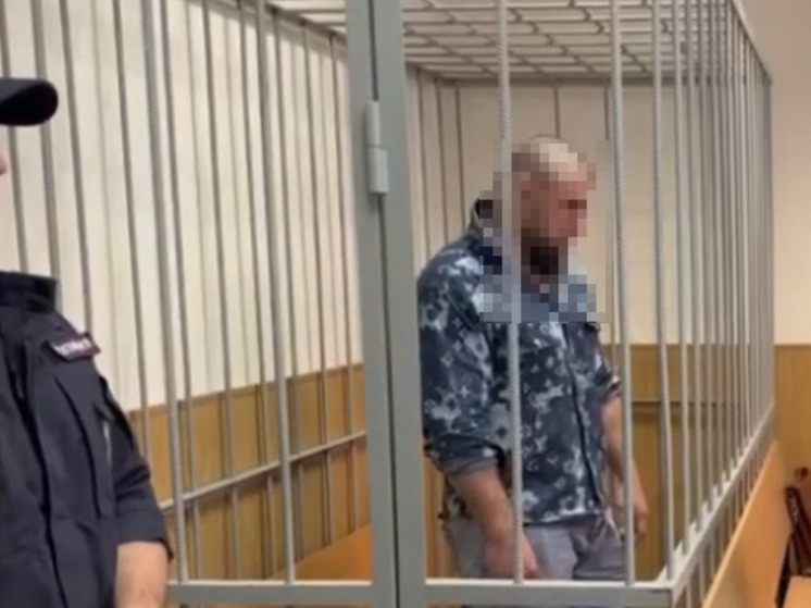 Бойца-хулигана, устроившего потасовку в Кудрово, заключили под стражу