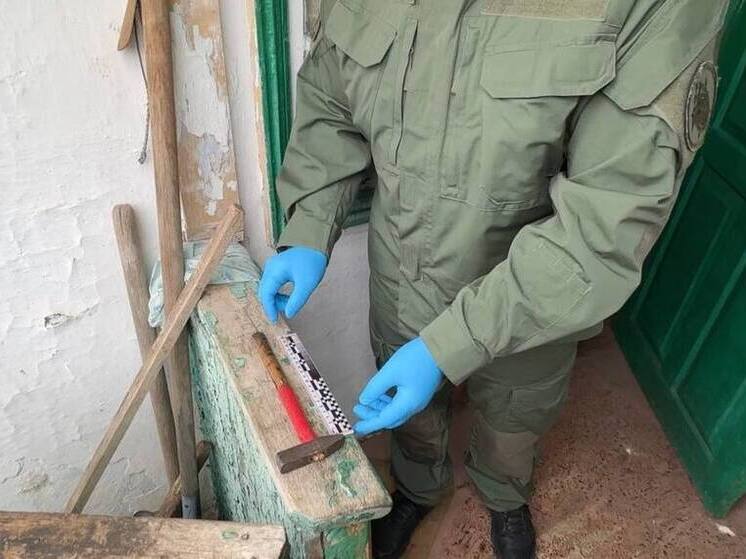 В Краснодарском крае завершено расследование дела о двойном убийстве пенсионерок ради наживы