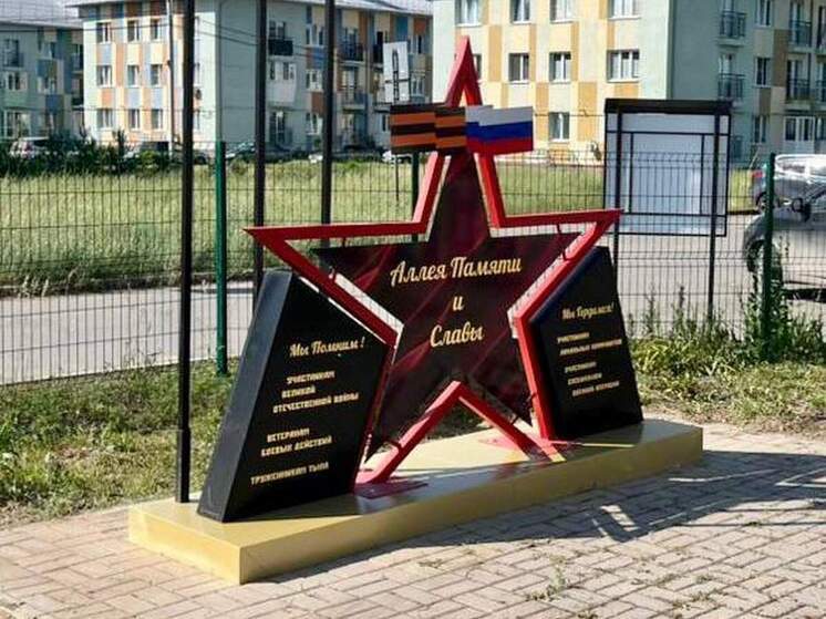 В Кировском округе Омска появится «Аллея памяти и славы»