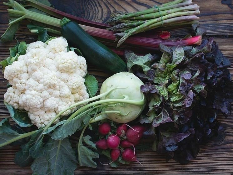 "Донецкий" филиал Россельхозцентра дает советы, как продлить период плодоношения овощей