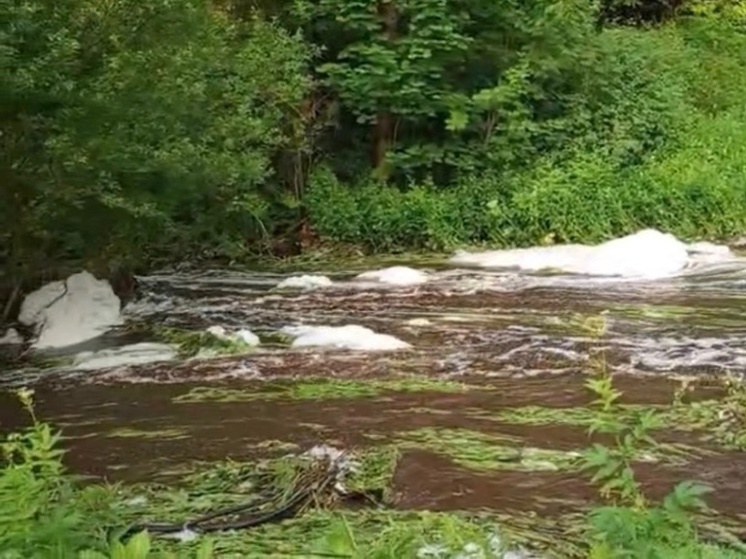 Малые Ряби в страхе: загрязнение воды ставит под угрозу здоровье и урожай