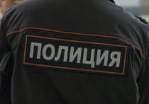 Новые правила приема в органы внутренних дел и подтверждения квалификации полицейских разработало Министерство внутренних дел
