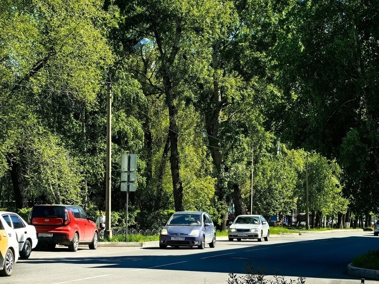 Синоптики Хакасии пообещали ясную и жаркую погоду