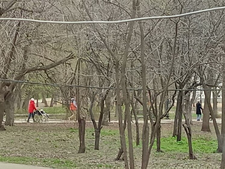 В Саратовской области отцы всё чаще получают материнский капитал