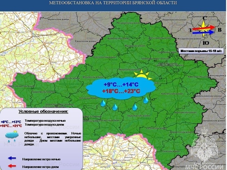 В Брянске 19 июня ожидаются кратковременные дожди