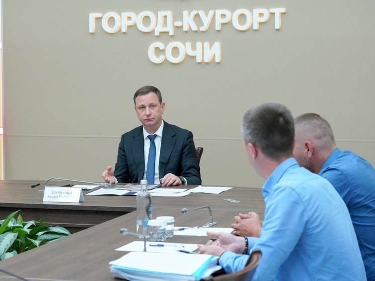 Андрей Прошунин рассказал о ситуации с движением грунта в Хостинском районе