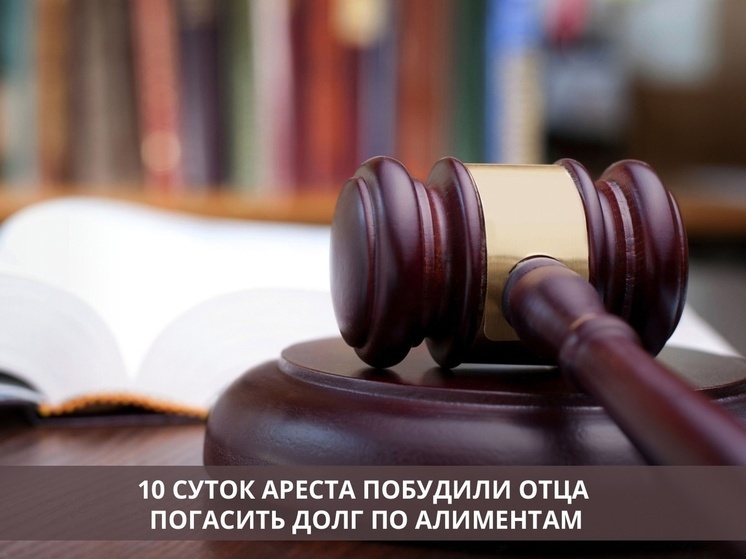 Арест заставил жителя Липецкой области платить по алиментам