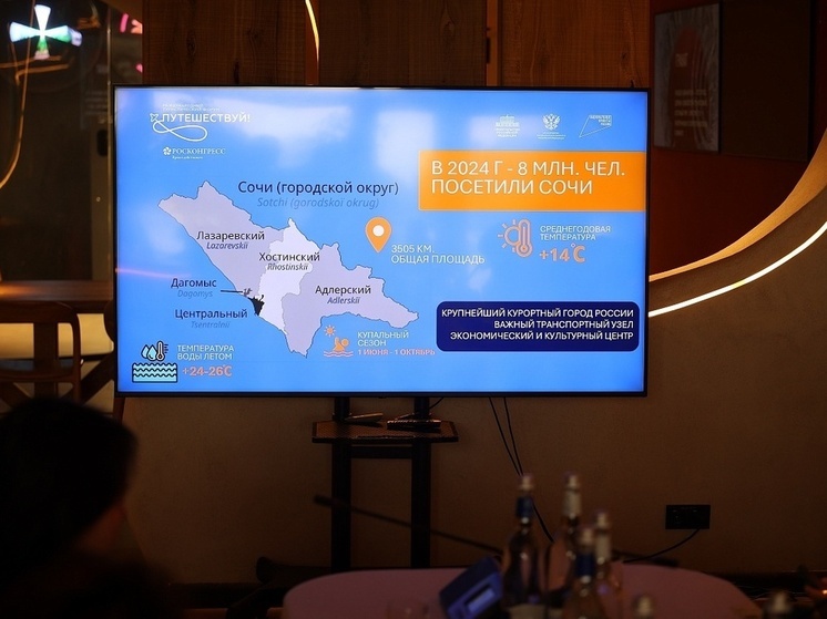 Операторы из Малайзии оценили туристический потенциал Сочи