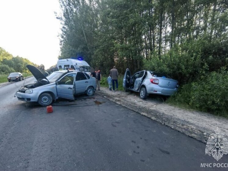 Женщина и мужчина пострадали в ДТП в Шуйском районе