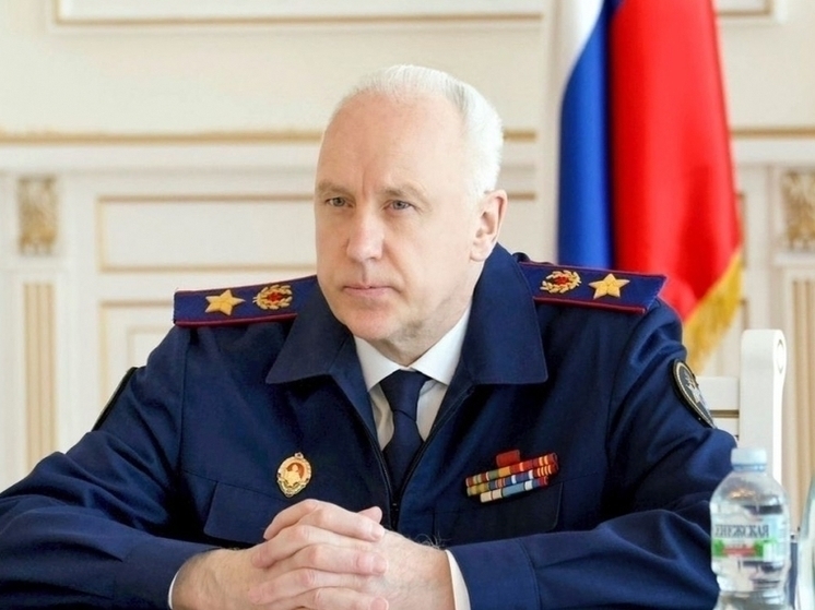 Бастрыкин требует доклад по делу мигранта, который увёз 9-летнюю девочку в Новосибирске