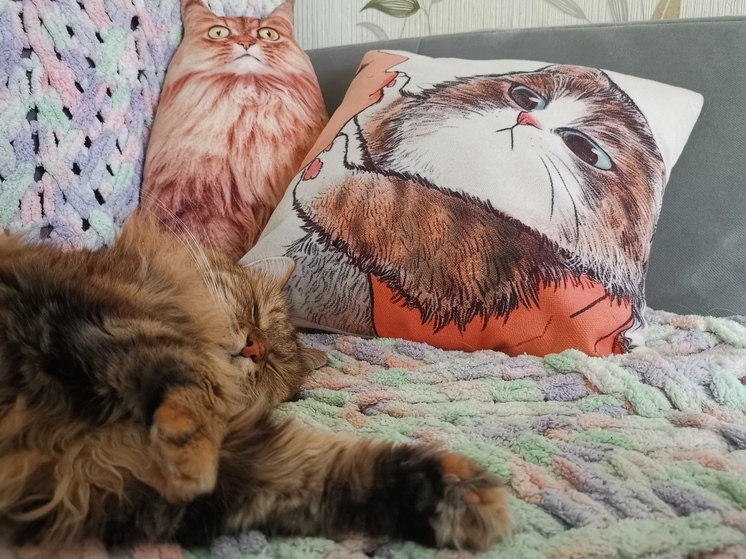 Стало известно, какая погода ожидает Приморье в четверг, 19 июня