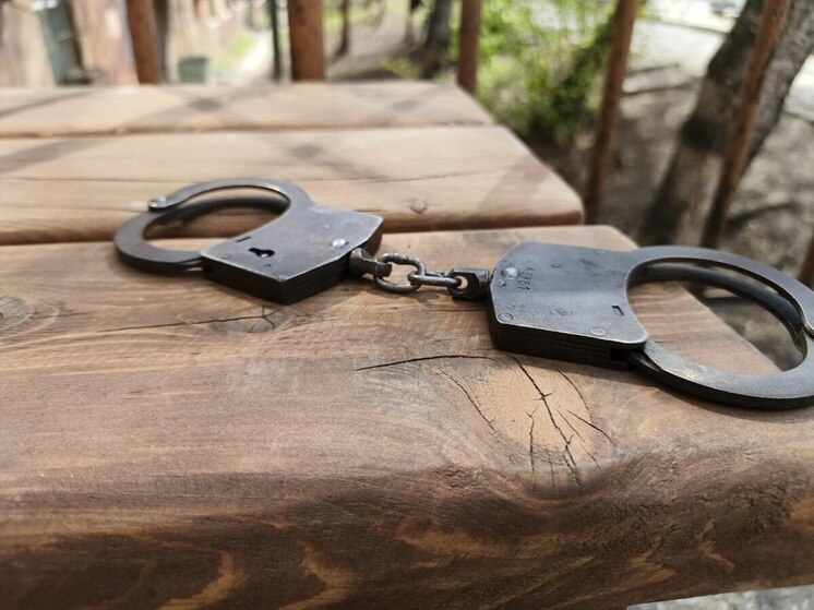 Завершилось расследование дела о нападении водителя на полицейского в Хабаровском крае