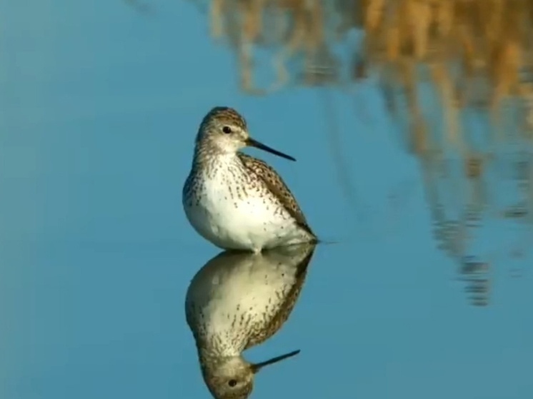 Хакасскому заказнику «Урочище Трехозерки» исполнилось 11 лет