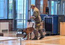 В Красноярском аэропорту введено новое подразделение – кинологическая служба с собаками
