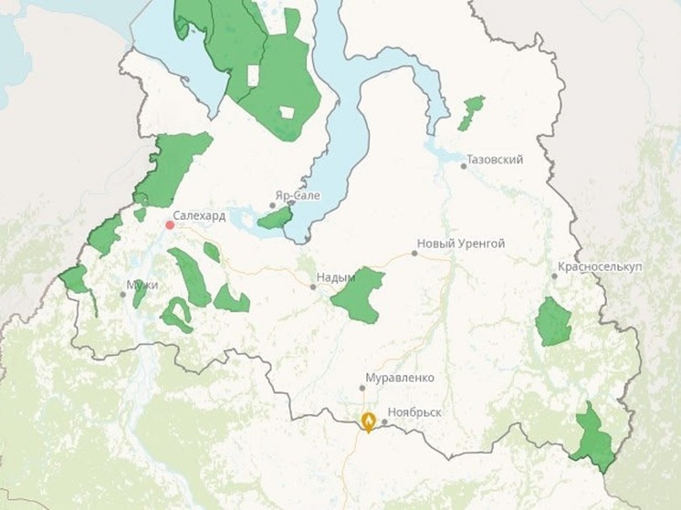 Лесной пожар почти на 6 га тушат неподалеку от Ноябрьска