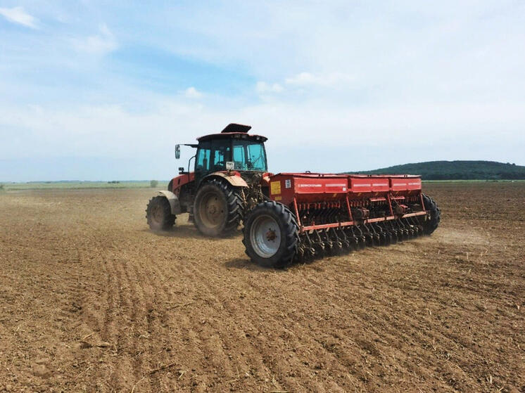 В Хабаровском крае посевная кампания выполнена на 81 процент