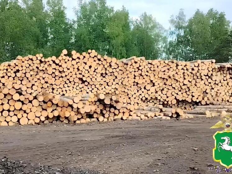В Томской области задержали лесорубов, уничтоживших деревья на 62 млн