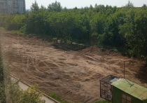 В Барнауле демонтировали многолетний долгострой, который располагался за жилым домом на Павловском тракте, 225